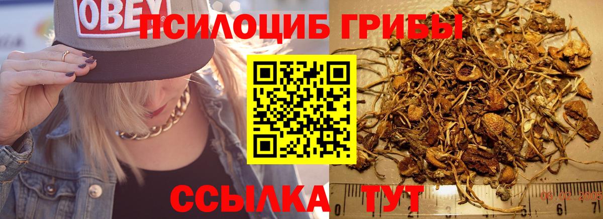 Псилоцибиновые грибы GOLDEN TEACHER  Вход с VPN  Туймазы  Галлюциногенные грибы Cubensis 
